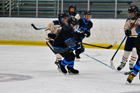 fri 1330 firebirds vs mavericks 12u a2