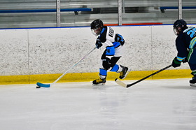 HOL323852