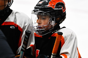HOL325448