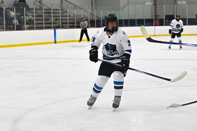 HOL327253
