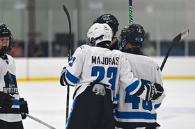 sat 1100 stars hc vs garden wolves 16u